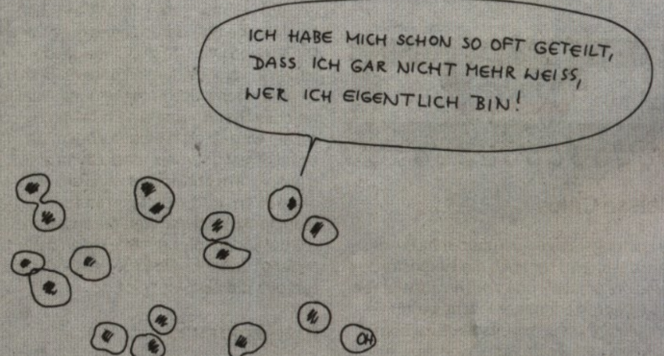 Bildschirmfoto 2018-07-26 um 11.39.49