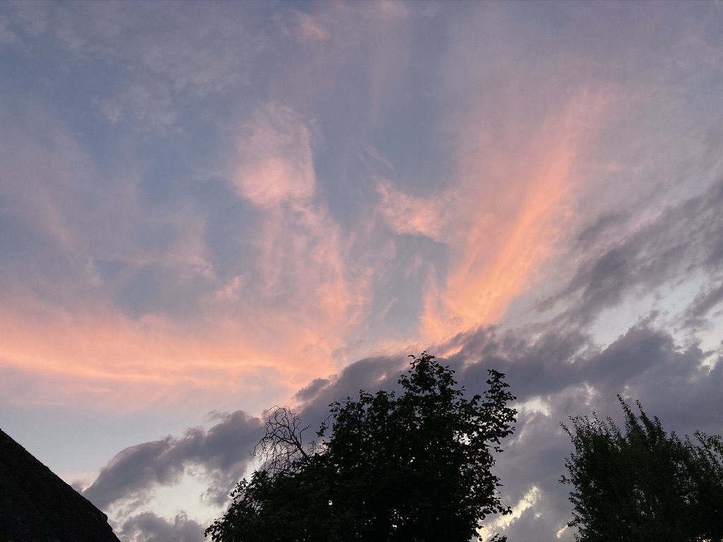 Der Sinn des Lebens: Dem Leben einen Sinn zu&nbsp;geben