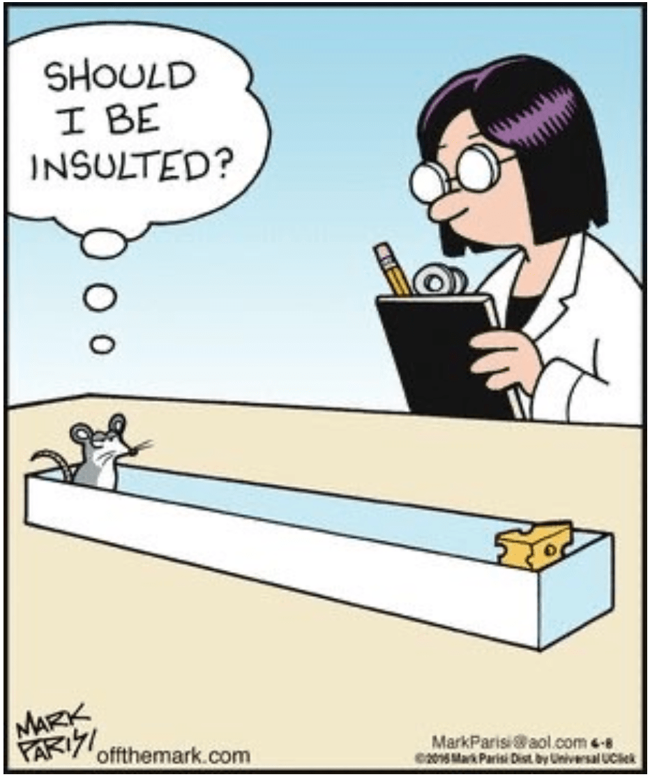 Warum es keine „Regelschüler“ gibt